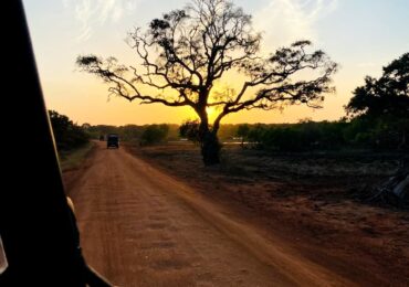 Yala National Park