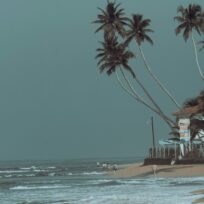 Beaches