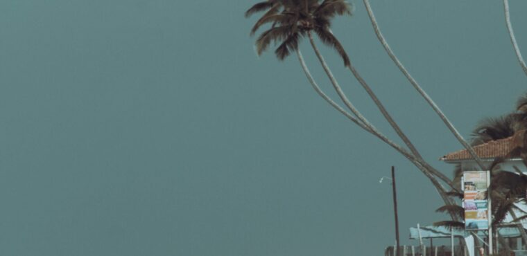 Beaches